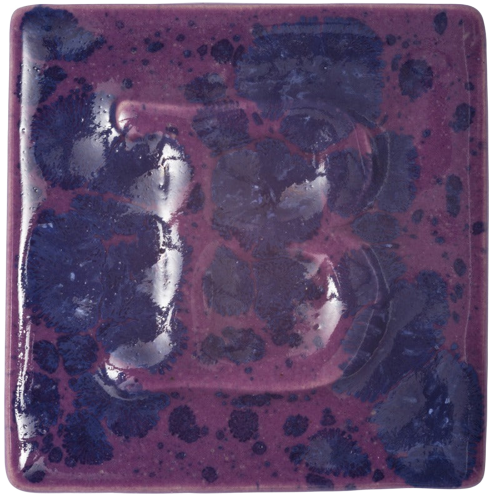 9513- Anemone