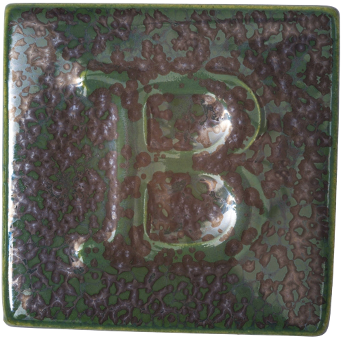 9577- Reptil