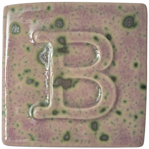 9517- Heidekraut